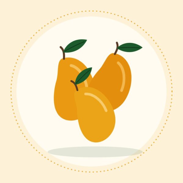 Anwar Ratol mangoes from Multan, Saeen Soghaat