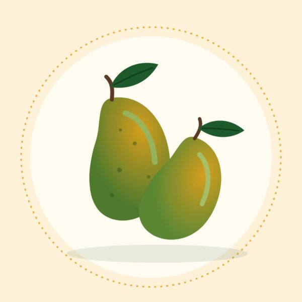 Kala (black) Chaunsa mangoes from Multan, Saeen Soghaat