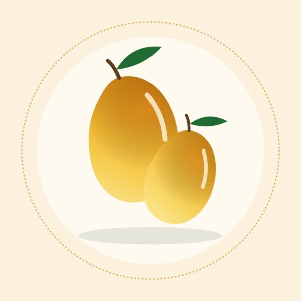 New Sindhri mangoes from Multan, Saeen Soghaat