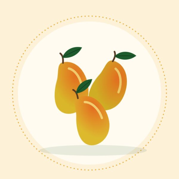 Ratol No. 12 mangoes from Multan, Saeen Soghaat