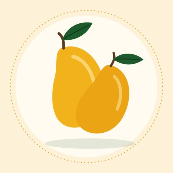 Sindhri mangoes from Multan, Saeen Soghaat